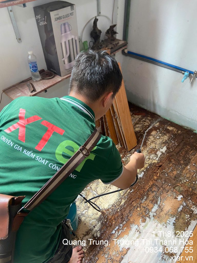 Dịch Vụ Diệt Mối Thanh Hóa Uy Tín, Chuyên Nghiệp Tại XTER