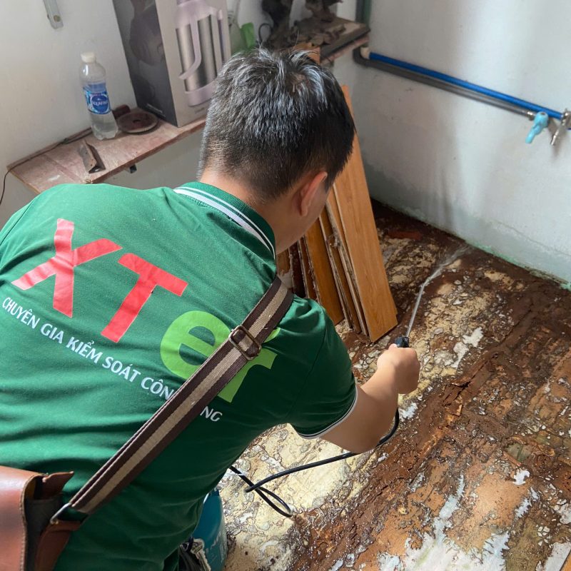 diet moi thanh hoa 7