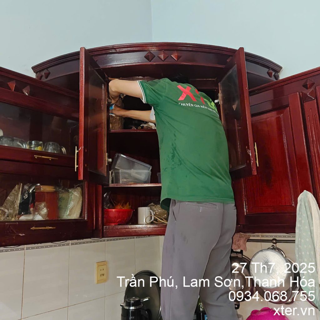 diet moi thanh hoa 8