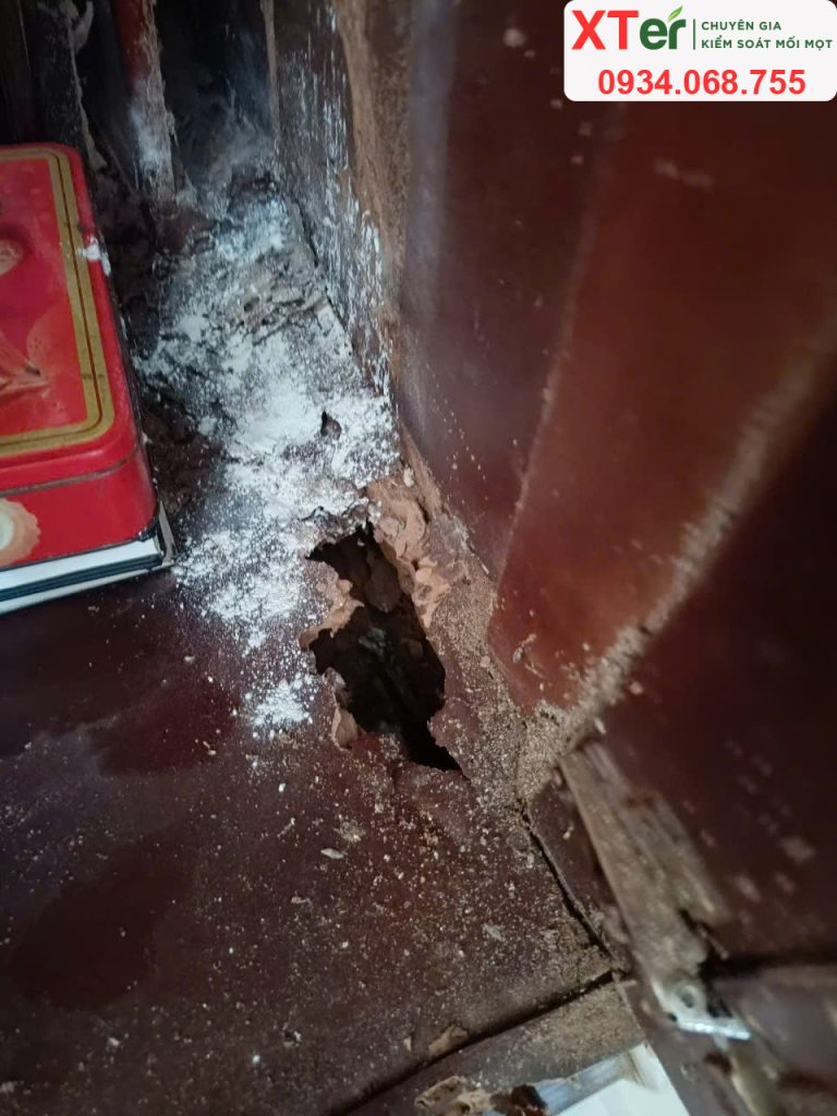 diet moi thu dau mot 5