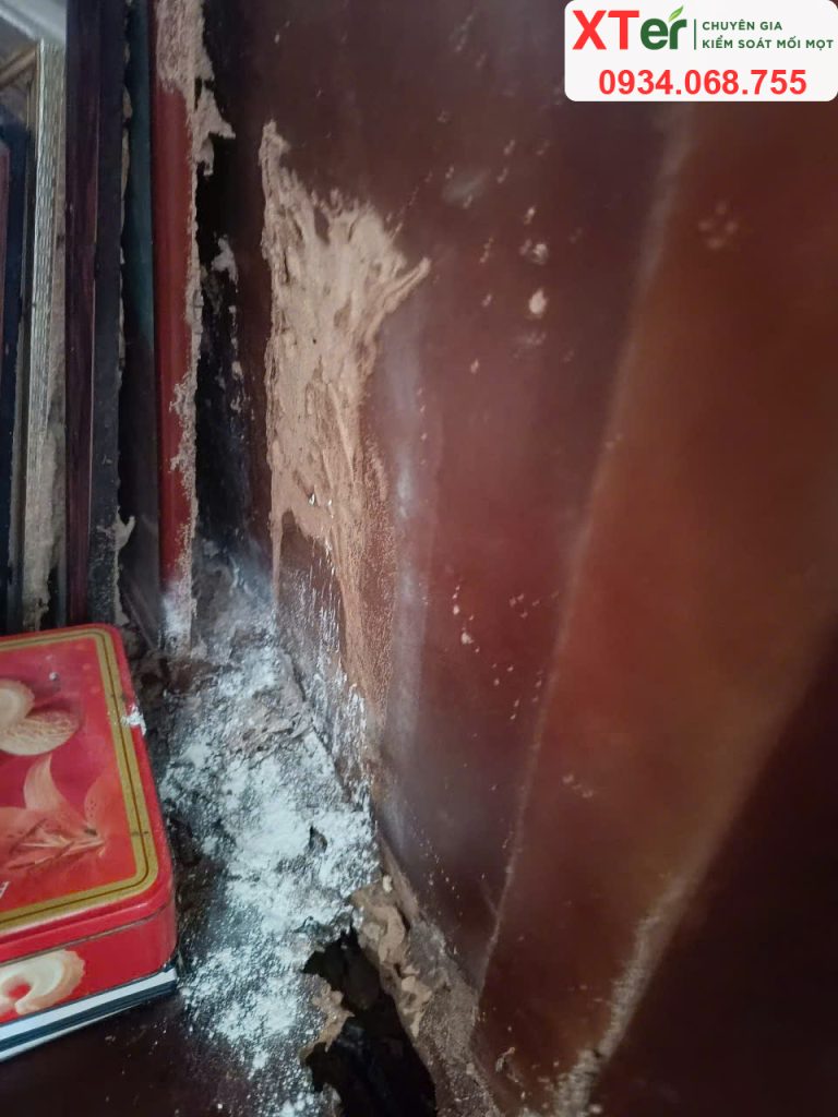 diet moi thu dau mot 6