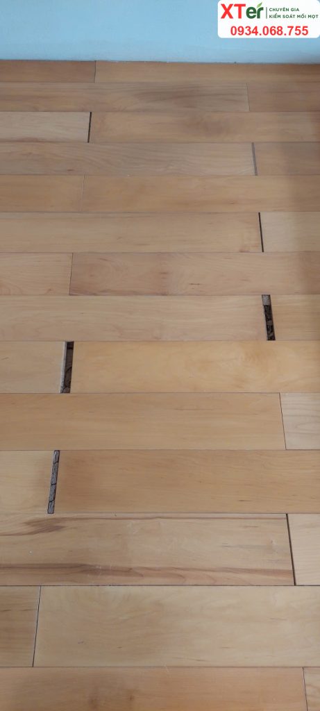 diet moi thu duc lvv 1