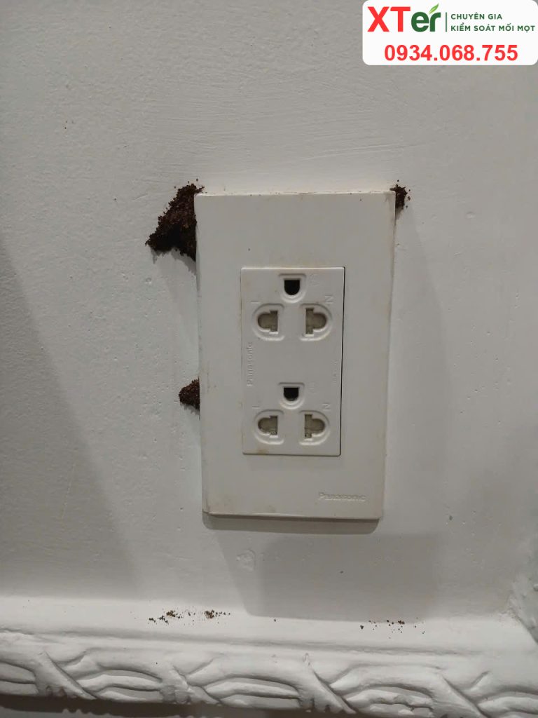 diet moi thu duc lvv 3