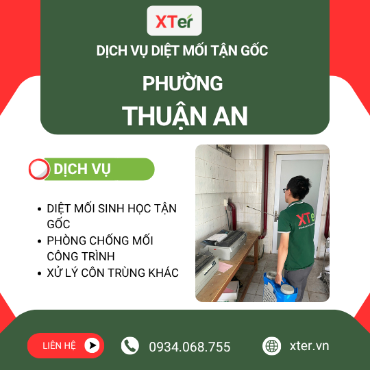 Dịch vụ diệt mối tận gốc tại Thuận An