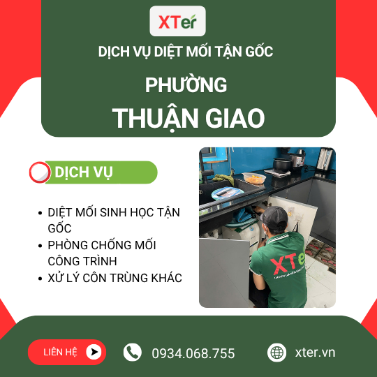 Dịch vụ diệt mối tận gốc tại Thuận Giao