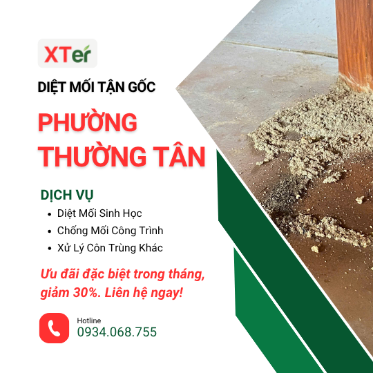 Dịch vụ diệt mối tận gốc tại Thủ Dầu Một