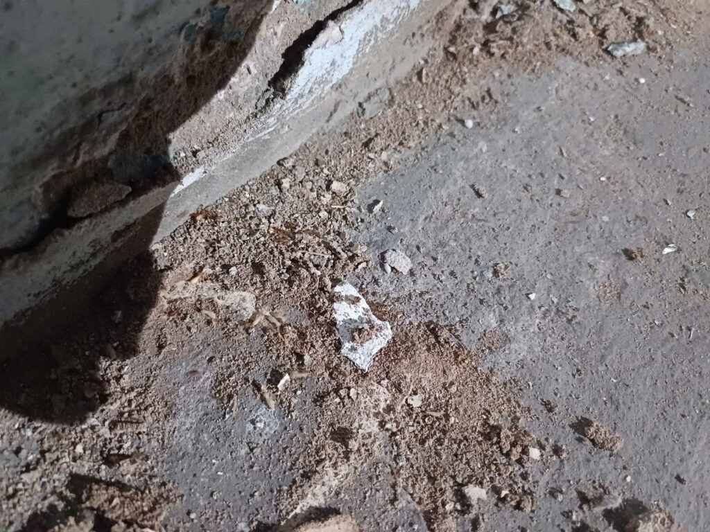 XTER Triển Khai Diệt Mối Tận Gốc Nhà Anh Hùng - Tô Ký, Quận 12 Mối tận dụng khe nứt nền nhà để di chuyển và làm tổ.