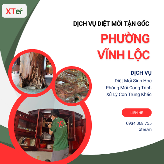 Dịch vụ diệt mối tận gốc tại Vĩnh Lộc