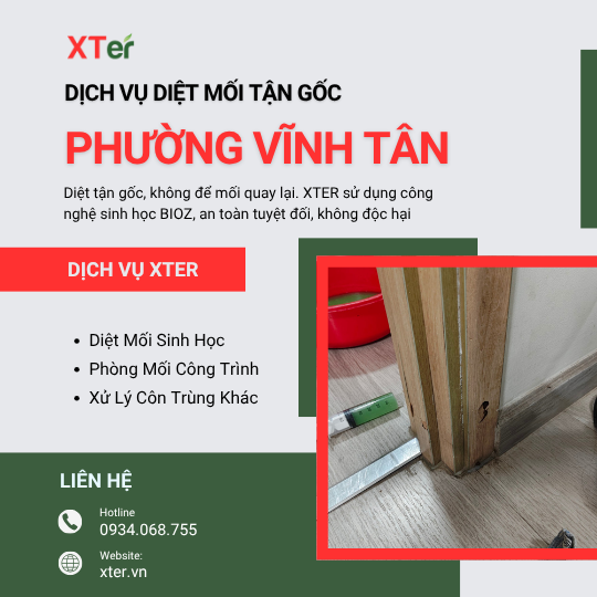Dịch vụ diệt mối tận gốc tại Vĩnh Tân