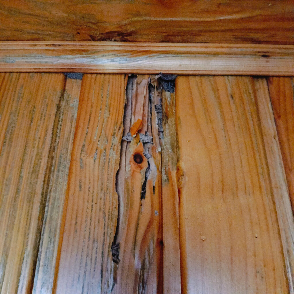 diet moi vo van tan quan 3 1