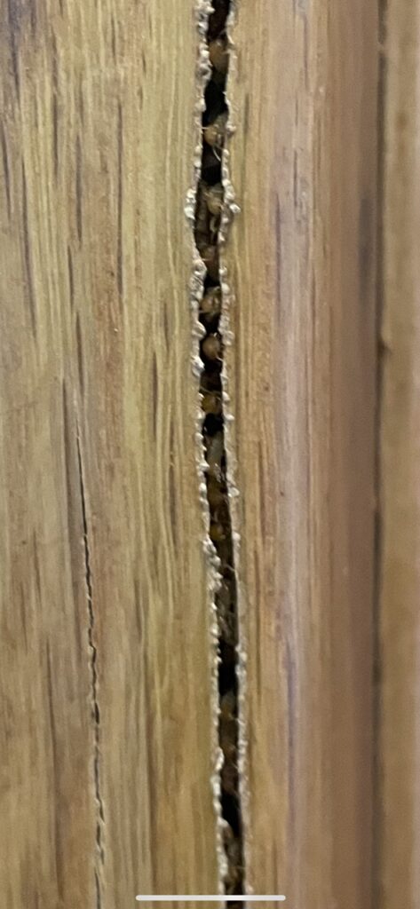 Khung cửa gỗ tự nhiên với những lỗ hổng do mối tạo ra, làm yếu toàn bộ kết cấu