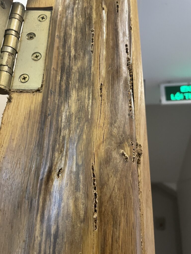 diet moi vo van tan quan 3 4