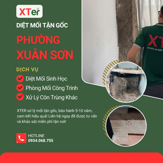 Dịch vụ diệt mối tận gốc tại Xuân Sơn