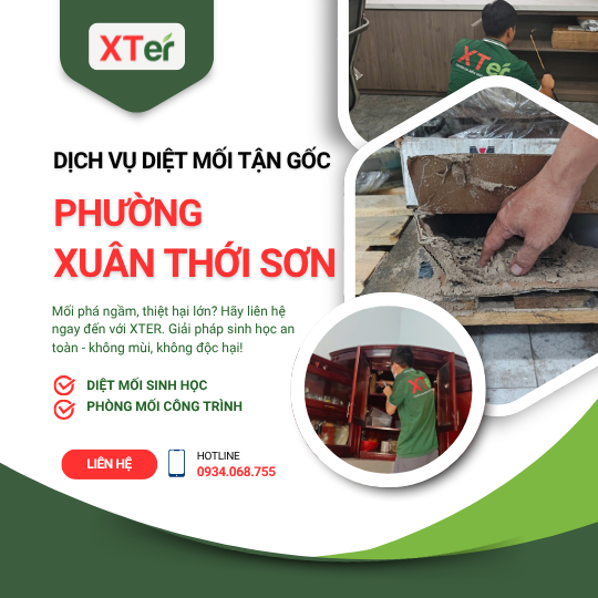 Dịch vụ diệt mối tận gốc tại Xuân Thới Sơn