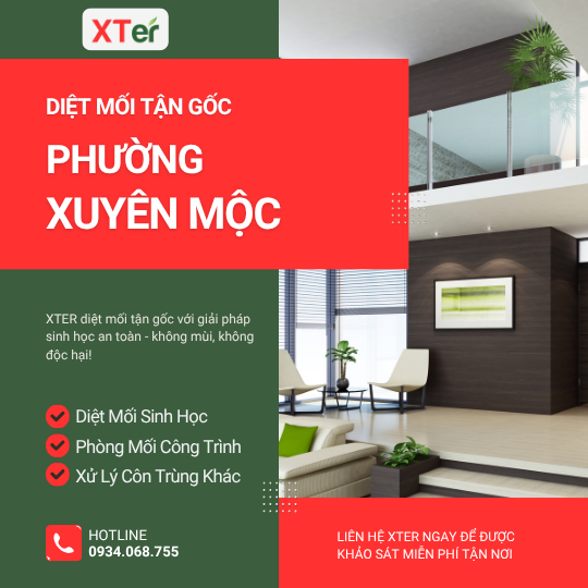 Dịch vụ diệt mối tận gốc tại Xuyên Mộc