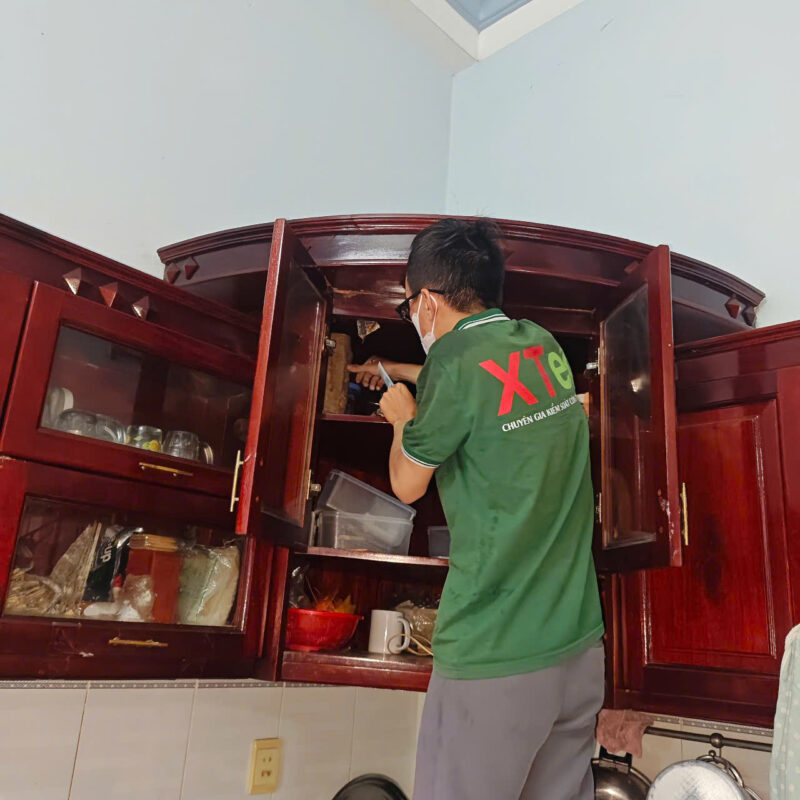 Dịch Vụ Chống Mối Quận Thủ Đức Copy of 20250717 1