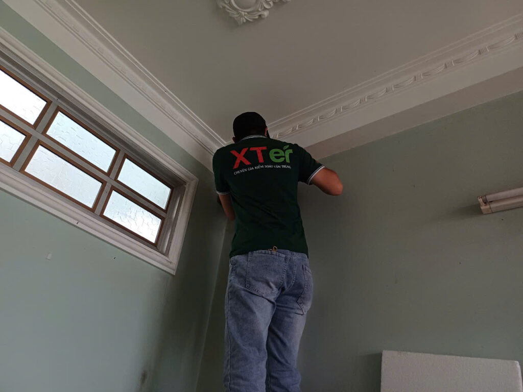 diet moi binh thanh pdl 1