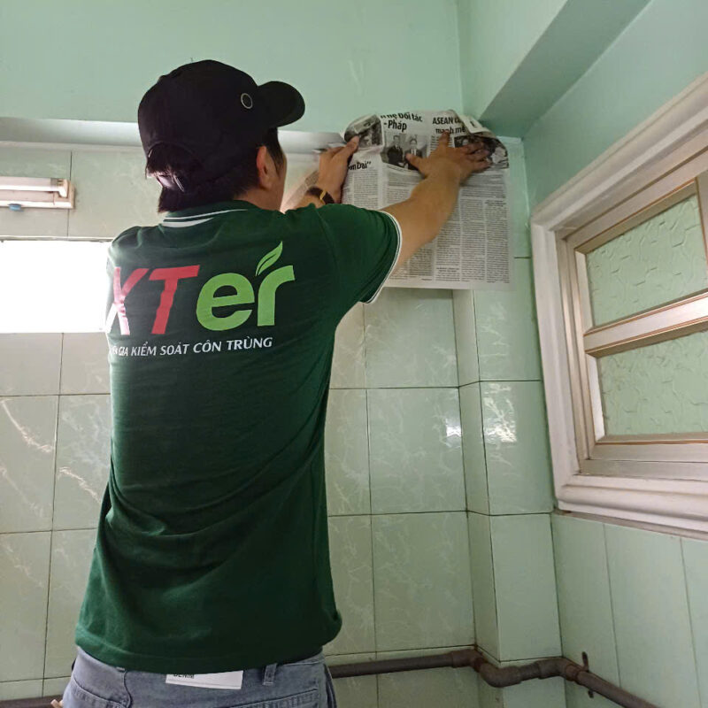 diet moi binh thanh pdl 4