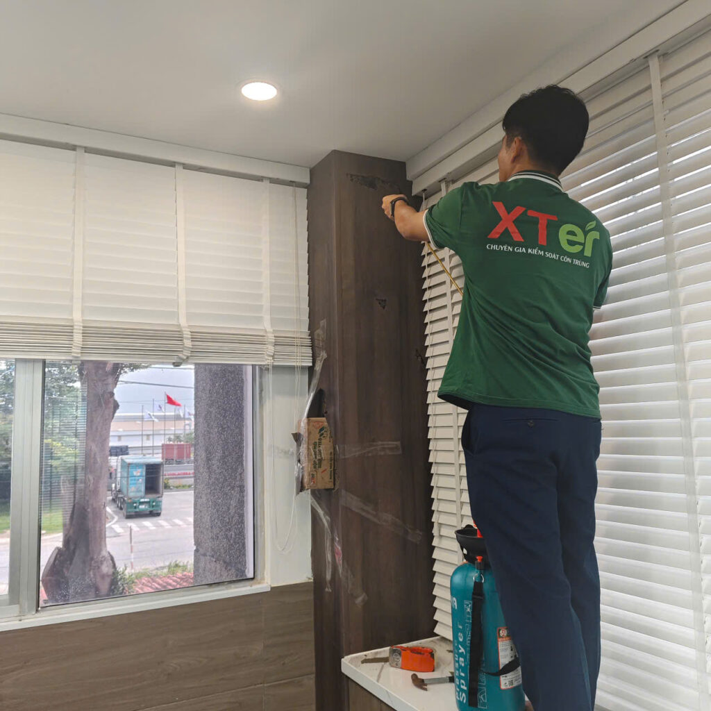 diet moi quan 1 le loi 2