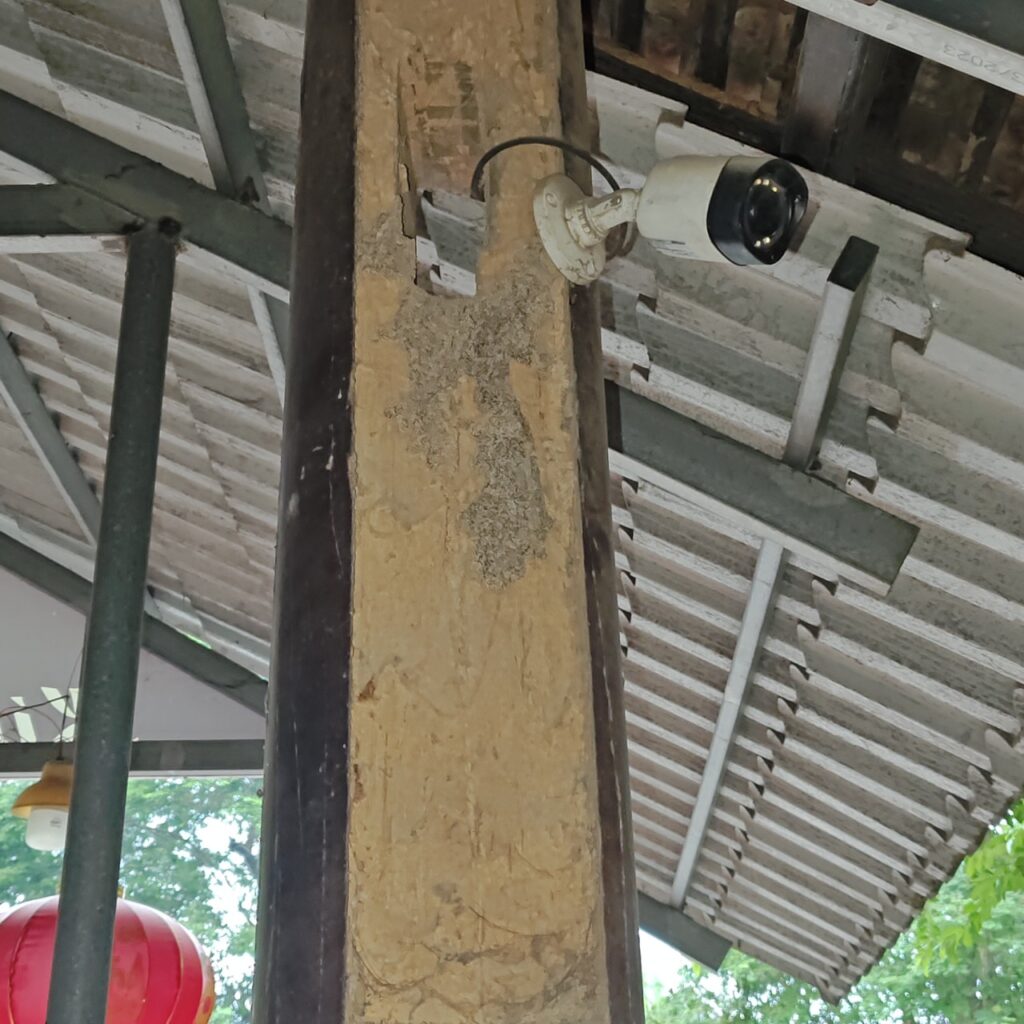 Cột gỗ lim chính của ngôi nhà cổ bị mối phá hoại nghiêm trọng