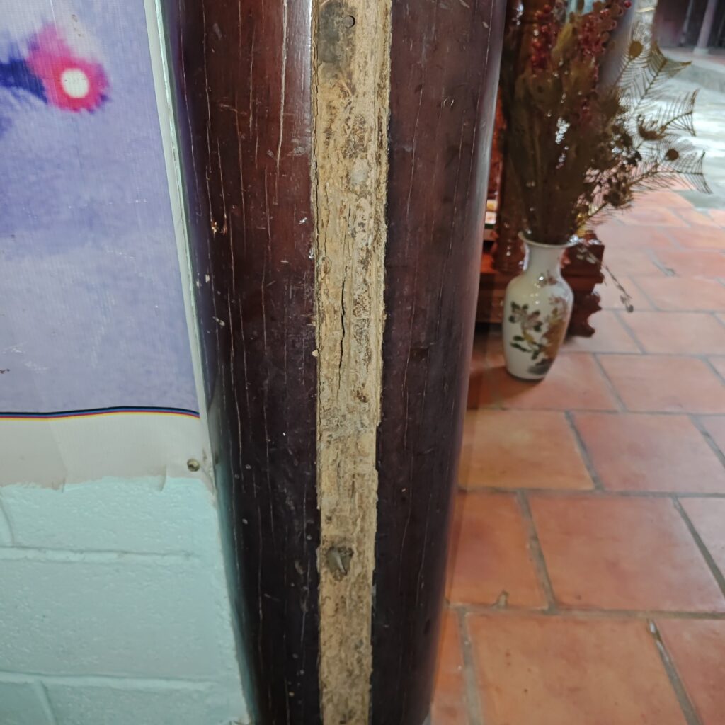 diet moi quan 10 NTP 3