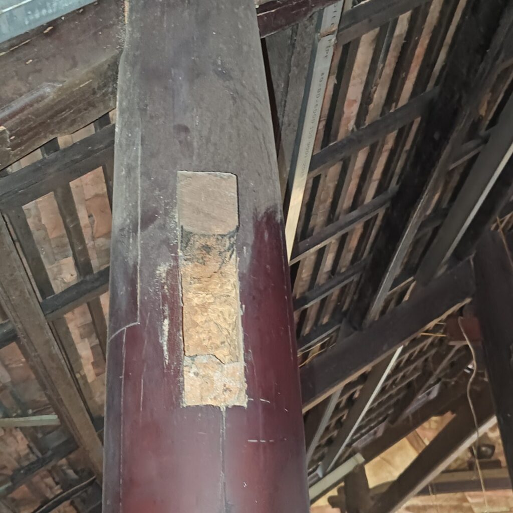 diet moi quan 10 NTP 5