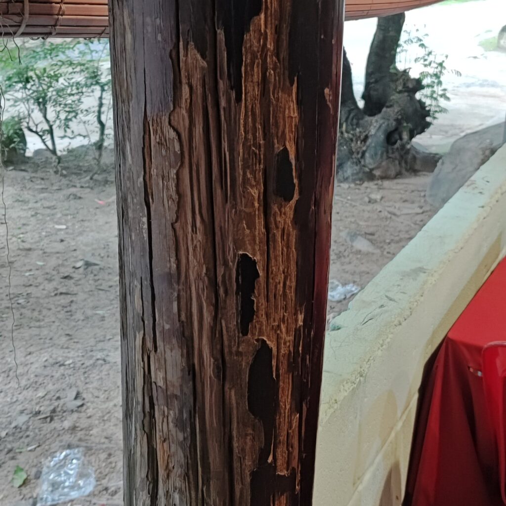 diet moi quan 10 NTP 6