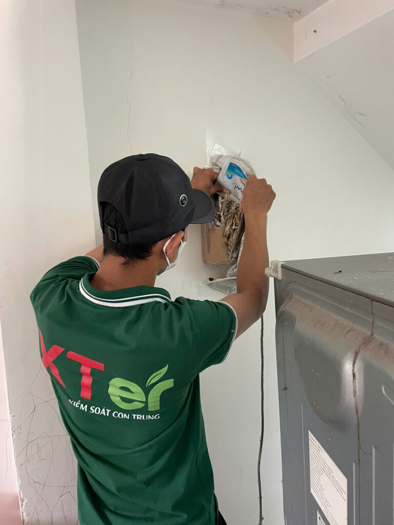 diet moi quan 3 cmtt 1