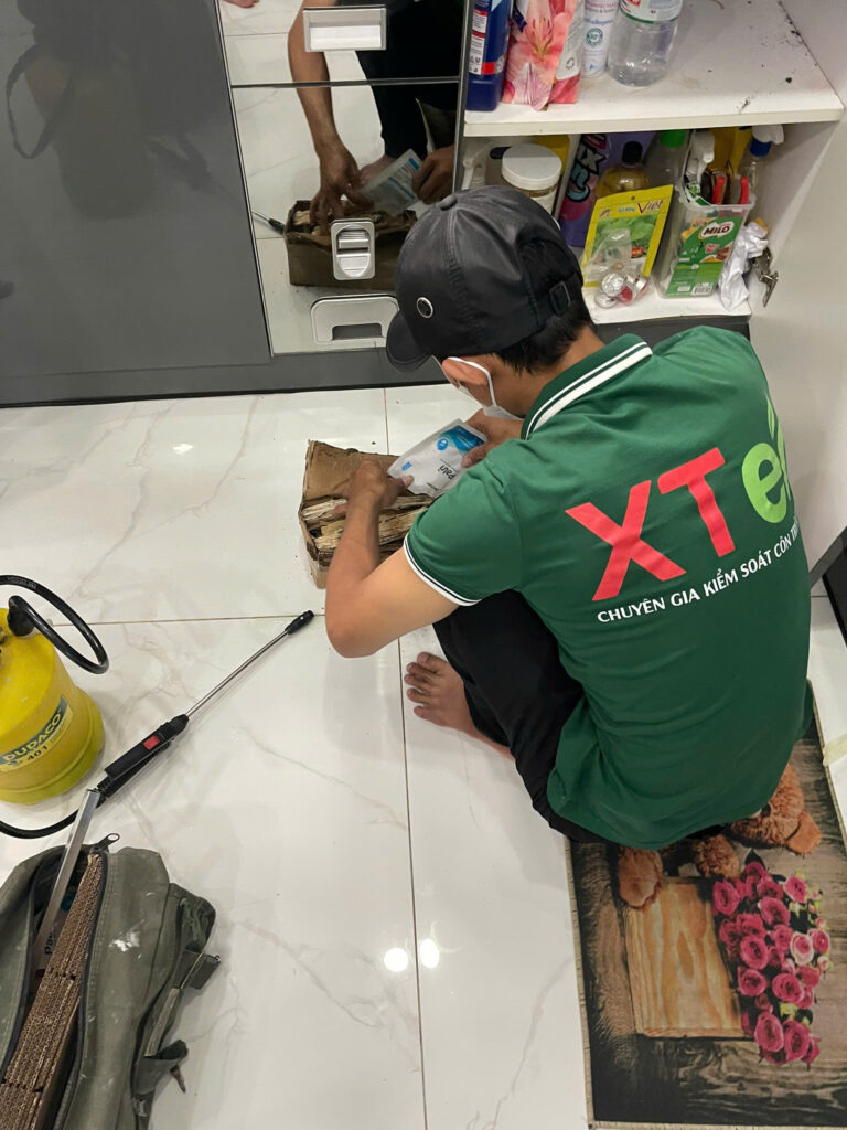 diet moi quan 3 cmtt 3