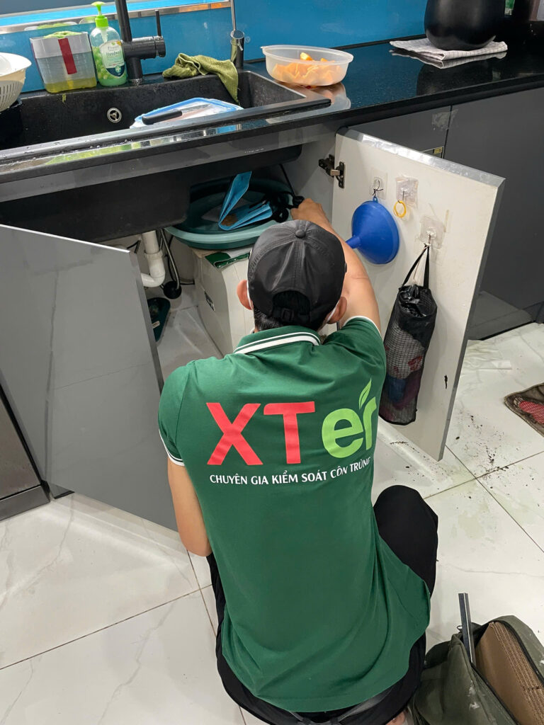 diet moi quan 3 cmtt 4