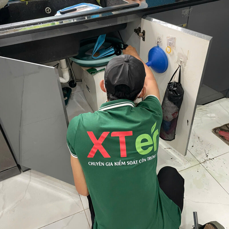 Dịch vụ diệt mối tận gốc tại quận 3