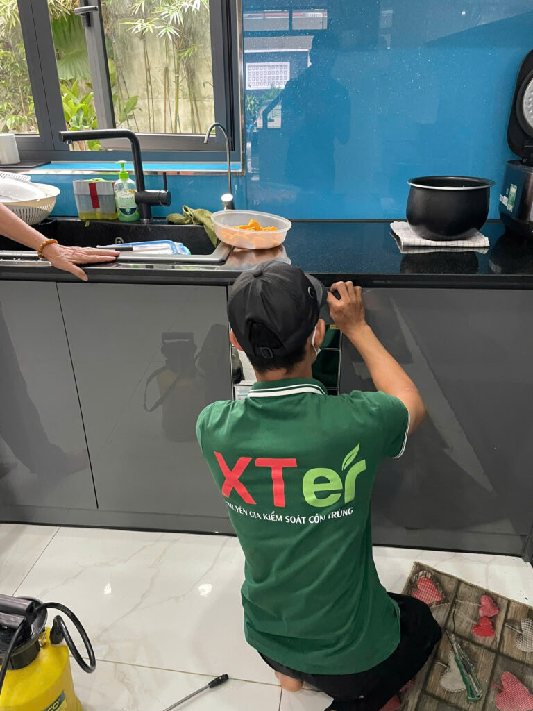 XTER Diệt Mối Tận Gốc Cho Nhà Chị Hoa - Đường Cách Mạng Tháng Tám, Quận 3 Kỹ thuật viên XTER kiểm tra kỹ lưỡng khu vực tủ bếp dưới - nơi mối thường ẩn nấp