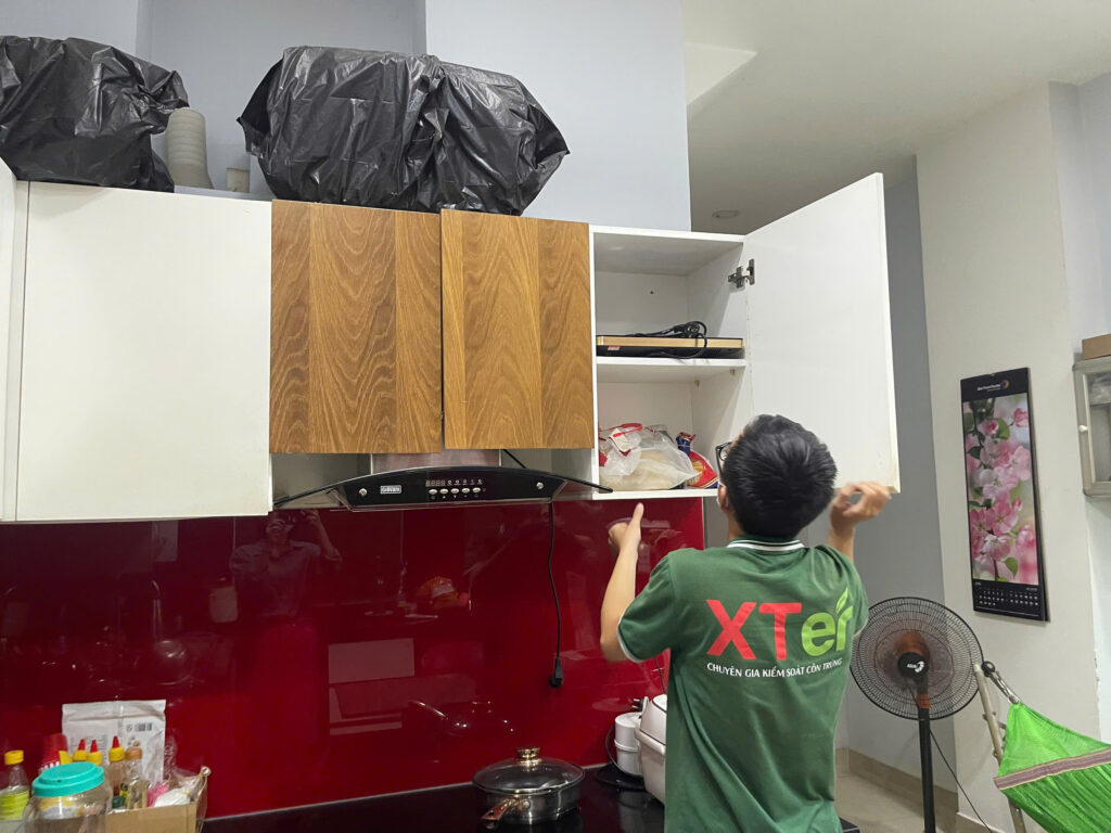 diet moi tan binh cong hoa 3