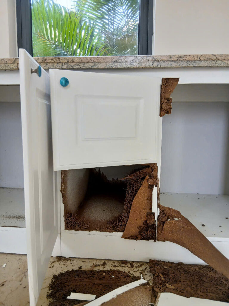 diet moi biet thu dong nai1