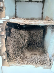 diet moi biet thu dong nai4