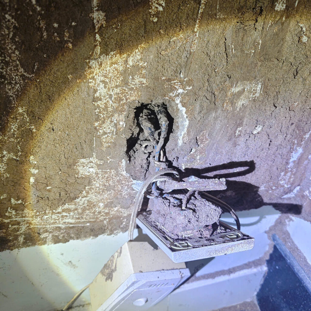 diet moi binh thanh anh minh1