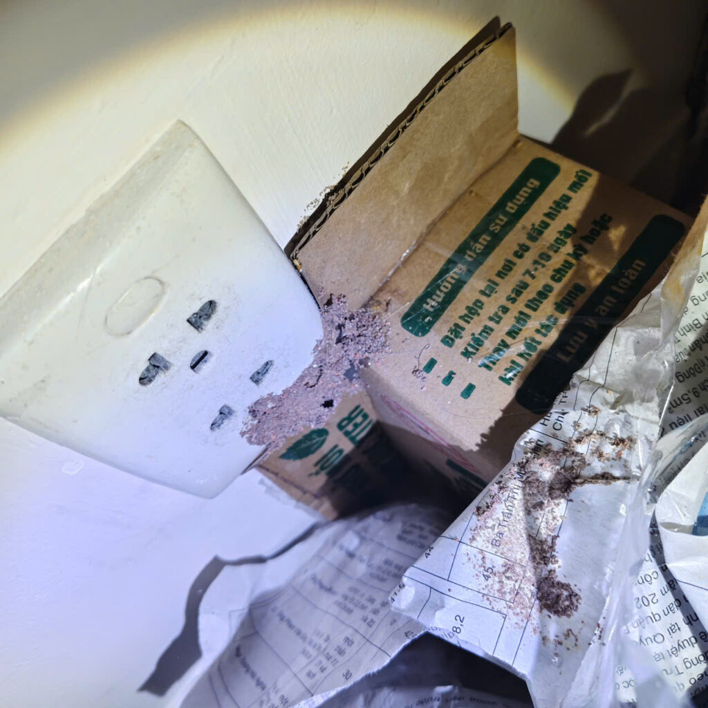 diet moi binh thanh anh minh2