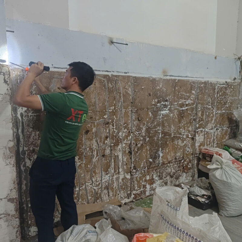 diet moi cong ty chinh phat3