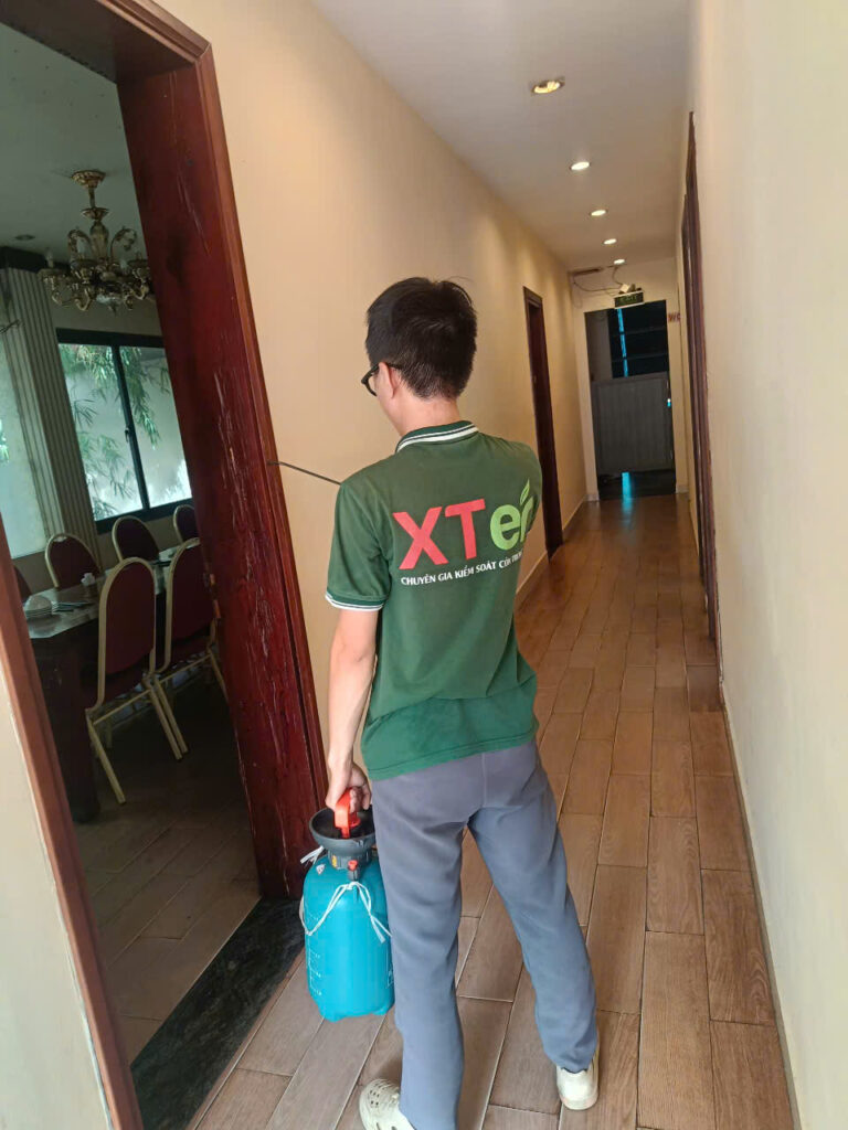 XTER triển khai diệt mối tận gốc khu phòng VIP tại khách sạn ở TP.HCM diet moi khach san quan 31