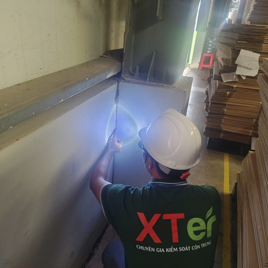 khao sat diet moi nha may apec28