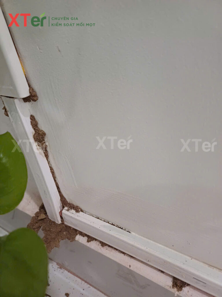 z7140658300492 a60e78b3aacd3d734908008cc013b9b4