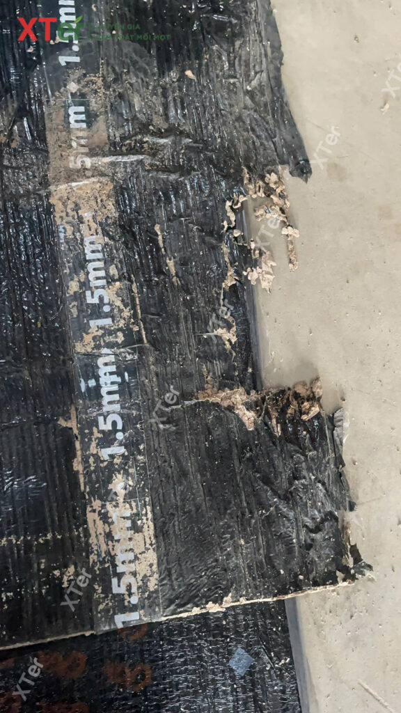 z7143807153055 674fd52b506ad01a7dfbf81188d2e1e0