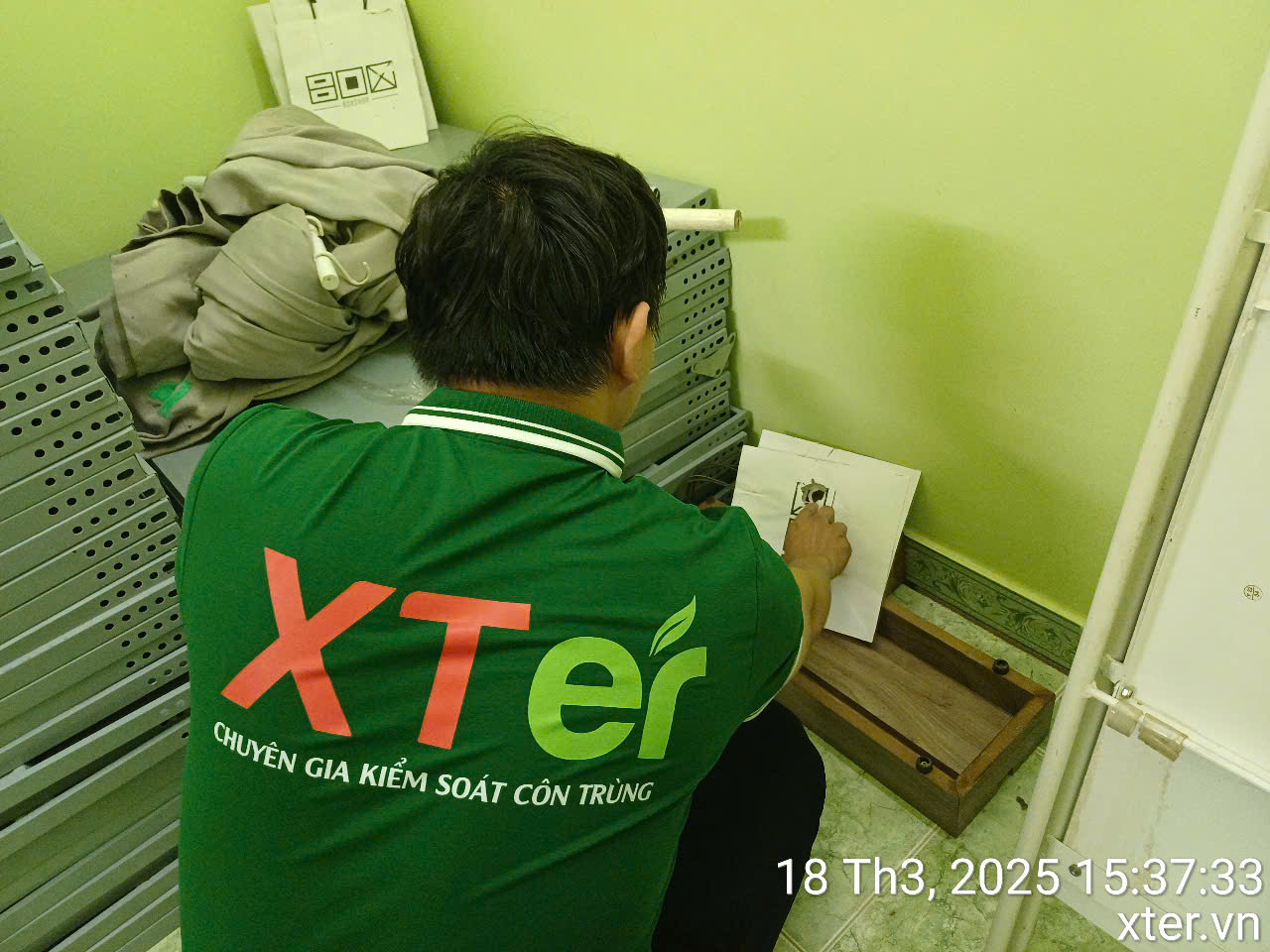 Dịch vụ diệt mối sinh học thuận an bình dương