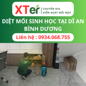 Diệt Mối Sinh Học Dĩ An Bình Dương