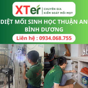 Diệt Mối Sinh Học Thuận An Bình Dương