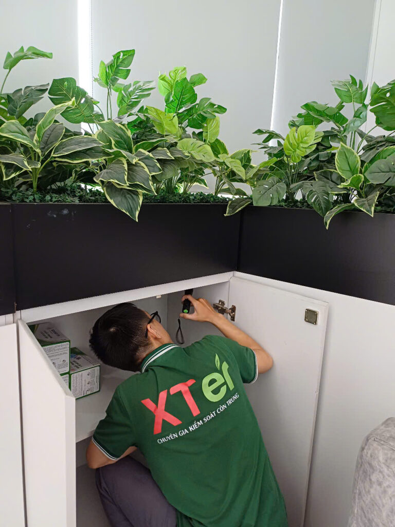 XTER triển khai diệt mối tận gốc tại nhà phố văn phòng Quận Bình Thạnh diet moi binh thanh van phong2