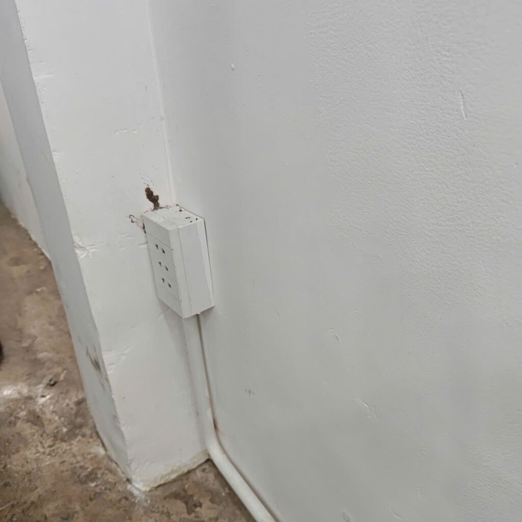 diet moi go vap chu vu1