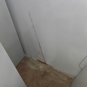 diet moi go vap chu vu2