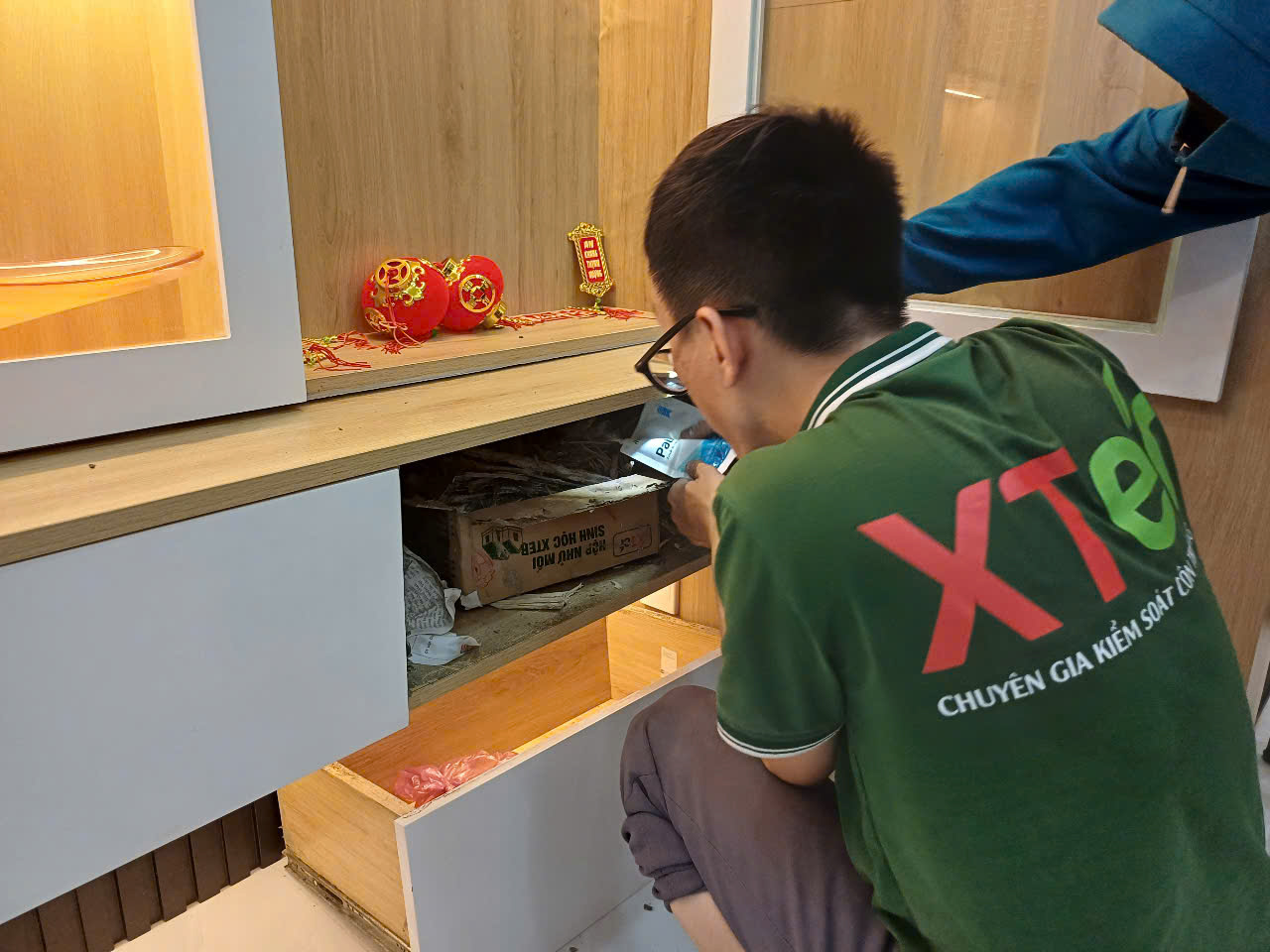 Diệt Mối Sinh Học Tại TPHCM & Bình Dương Diệt mối sinh học an toàn cho gia đình