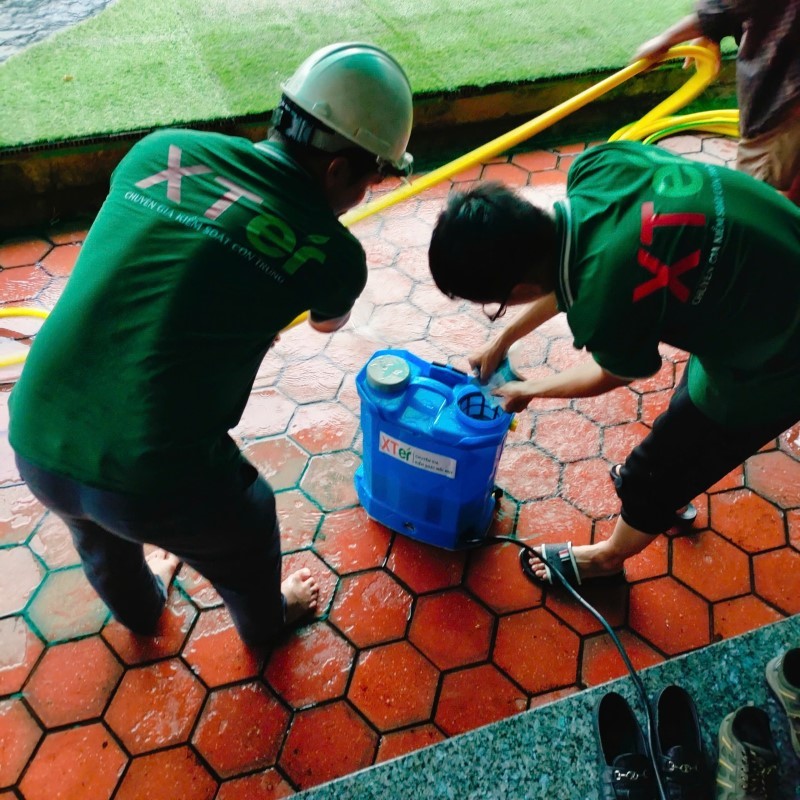 Diệt Mối Sinh Học Tại TPHCM & Bình Dương Diệt mối sinh học tại tphcm bình dương xter